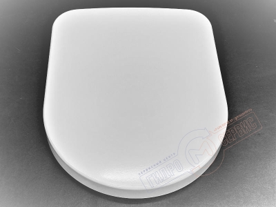 Moments, Tonic, Playa, Washpoint - Ideal Standard, V&B Omnia, Hommage Сиденье с микролифтом, быстросъемное, дюропласт