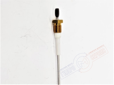 EASYSTEAM 30 Датчик уровня парогенератора EFFEGIBI