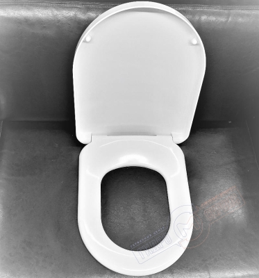 Moments, Tonic, Playa, Washpoint - Ideal Standard, V&B Omnia, Hommage Сиденье с микролифтом, быстросъемное, дюропласт