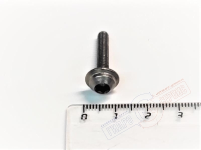 Винт крепления ручки смесителя HANSGROHE