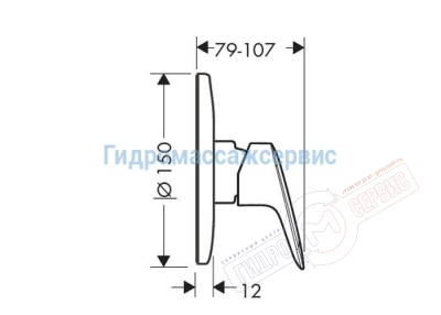 Смеситель для душа Hansgrohe Logis 71606000