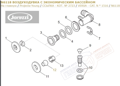 Сопло Хром форсунки гидромассажной ванны Jacuzzi Projecta-Young,   для ремонта ванн джакузи