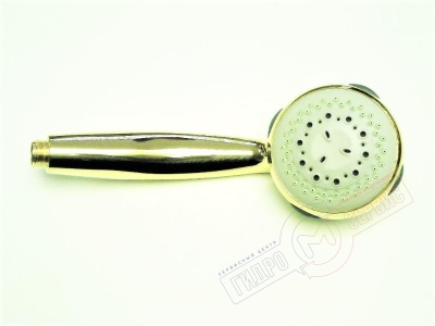 Душевая лейка NETTUNO для Джакуззи, золото - нзкз