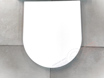 SPIRIT V2.0 SLIM Сидение для унитаза, с функцией плавного закрытия AM.PM