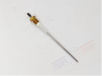 EASYSTEAM 30 Датчик уровня парогенератора EFFEGIBI