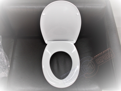 ECCO II SanRemo, Eurovit Сидение с микролифтом быстросъемное Ideal Standard - Medea